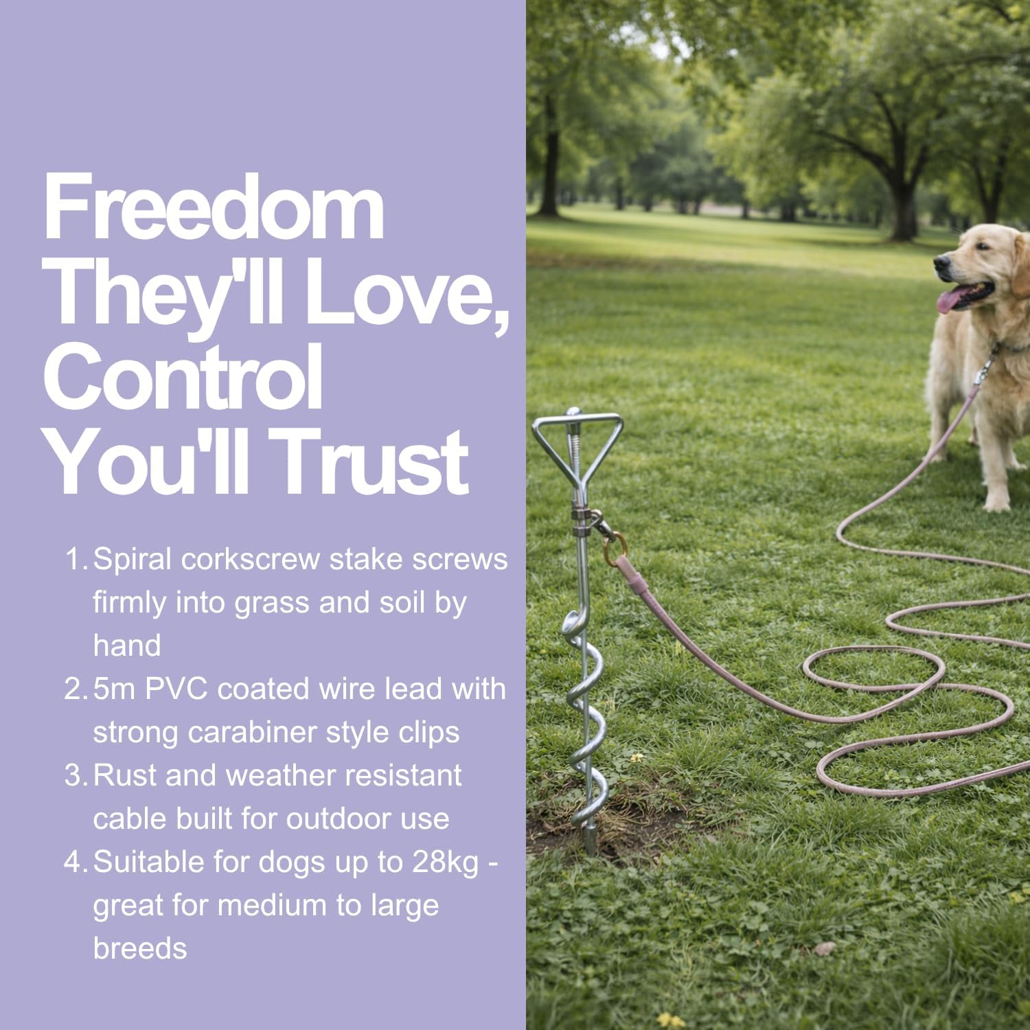 Spiral Dog Stake with 5M Lead, Dog Tie Out Cable and Ground Anchor for Dogs Up to 28KG, PVC Coated Wire Long Lead, Dog Camping Accessory, Assorted Colours