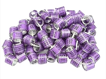 100pcs 8mm Personal Customized Band Many Colorful with Name loft Year Number Products of Pigeon pet Racing Pigeon Rings Bird Leg Foot Rings Bands (Black)