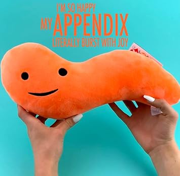 I Heart Guts Appendix Plush - 10.5 Cute Educational Organ Toy for Appendicitis & Appendectomy - Funny Get Well Recovery Gift for Surgery Nurse Patients & Medical Student STEM Anatomy Plushie