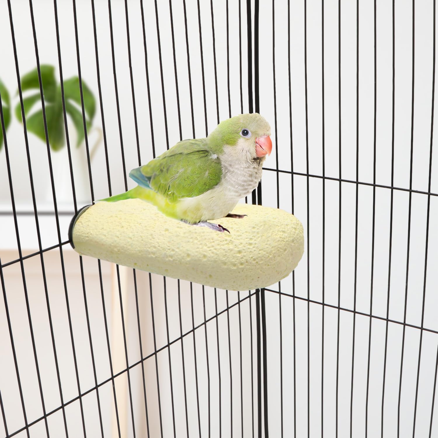 Kauspielzeug für Vogel, Kalziumzähne, Hamster, Schleifstein für Papageien, Sittiche, Nymphensittiche, Kaninchen, Chinchilla, Eichhörnchen, Käfig (zufällige Farbe) (L)