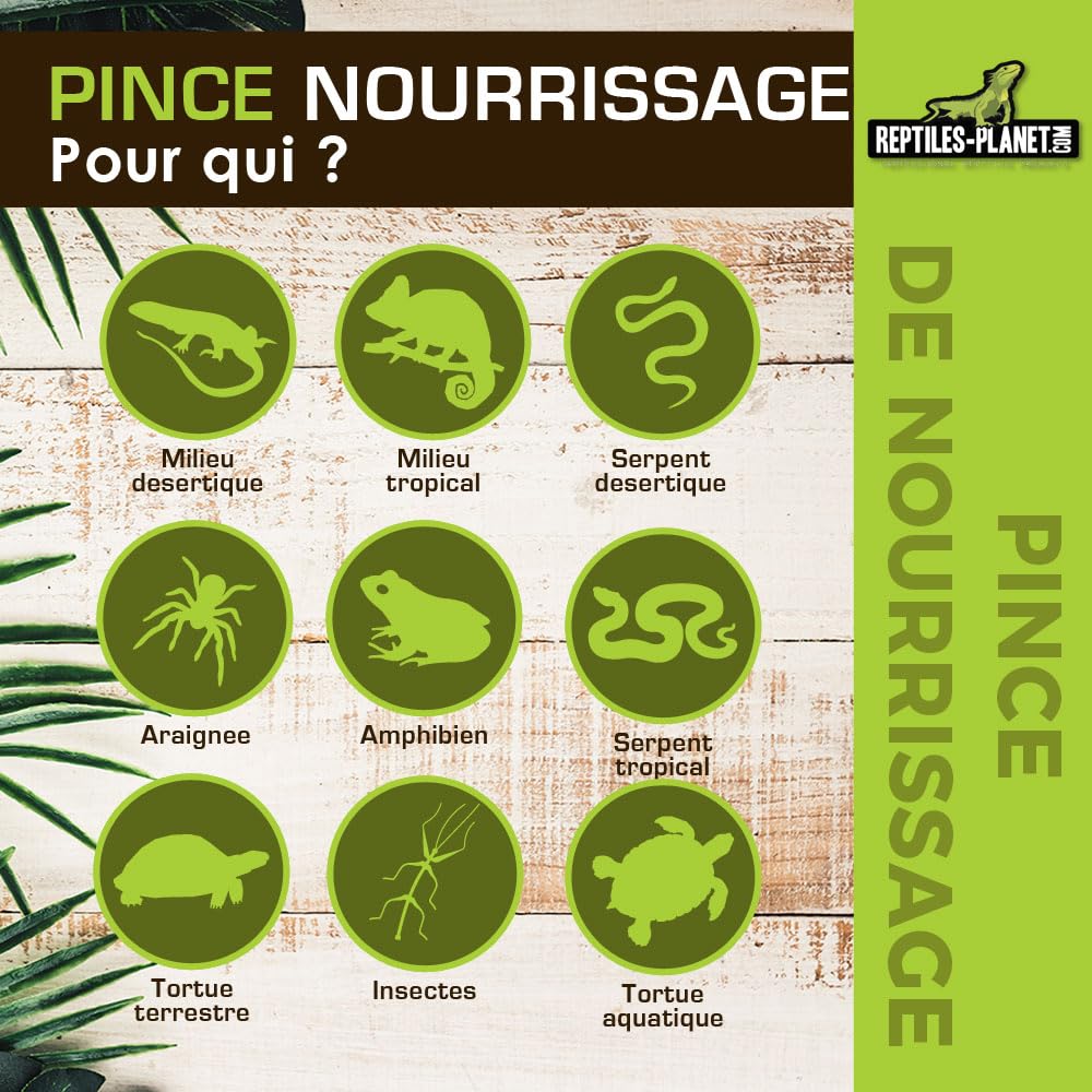 Reptiles Planet - Pince de Nourrissage pour Reptiles - 20,5 cm