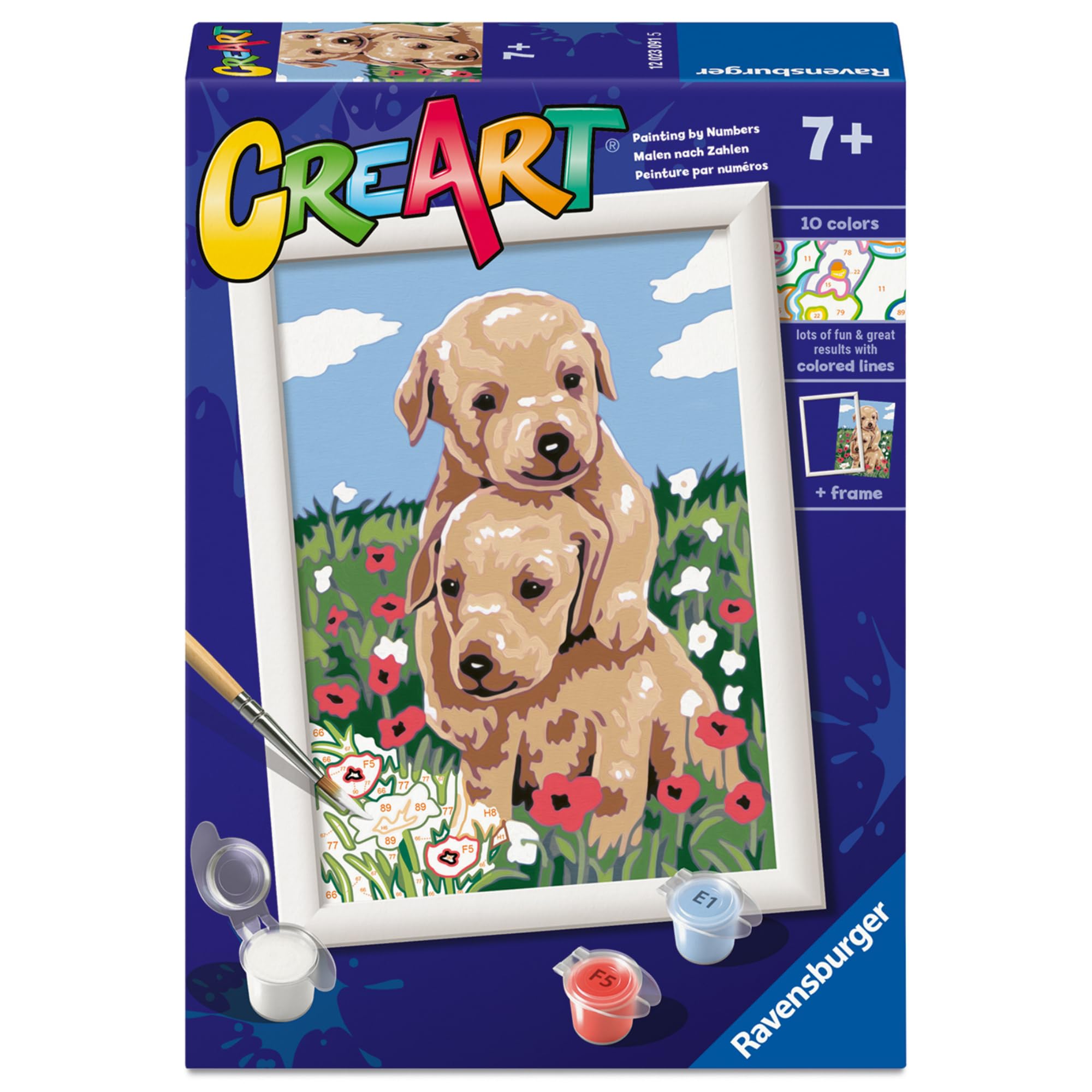 ZMHZMY Kit per pittura a olio fai da te con i numeri, motivo: Golden Retriever, motivo: cane Golden Retriever, kit fai da te con numeri, pittura ad olio, disegno, tela, decorazione per