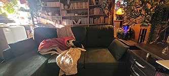 Review Image by Ysalys