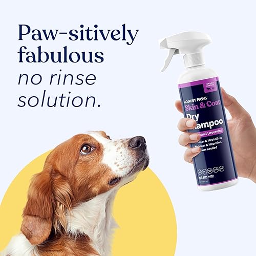 Miniatura 6 de Honest Paws Champú seco para perros, fórmula espumosa sin agua, sin enjuague, reduce la picazón, limpia hidrata, nutre la piel seca y el pelaje
