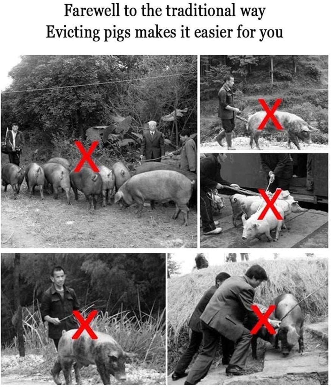 Palo de Seguridad para Ganado, Palo Eléctrico para Conducir Cerdos, Animal Electric Prod Hot Shock GanaderíA Granja Cerdo para Vaca Cerdo Ganado Cabras y Perro Grande 55cm