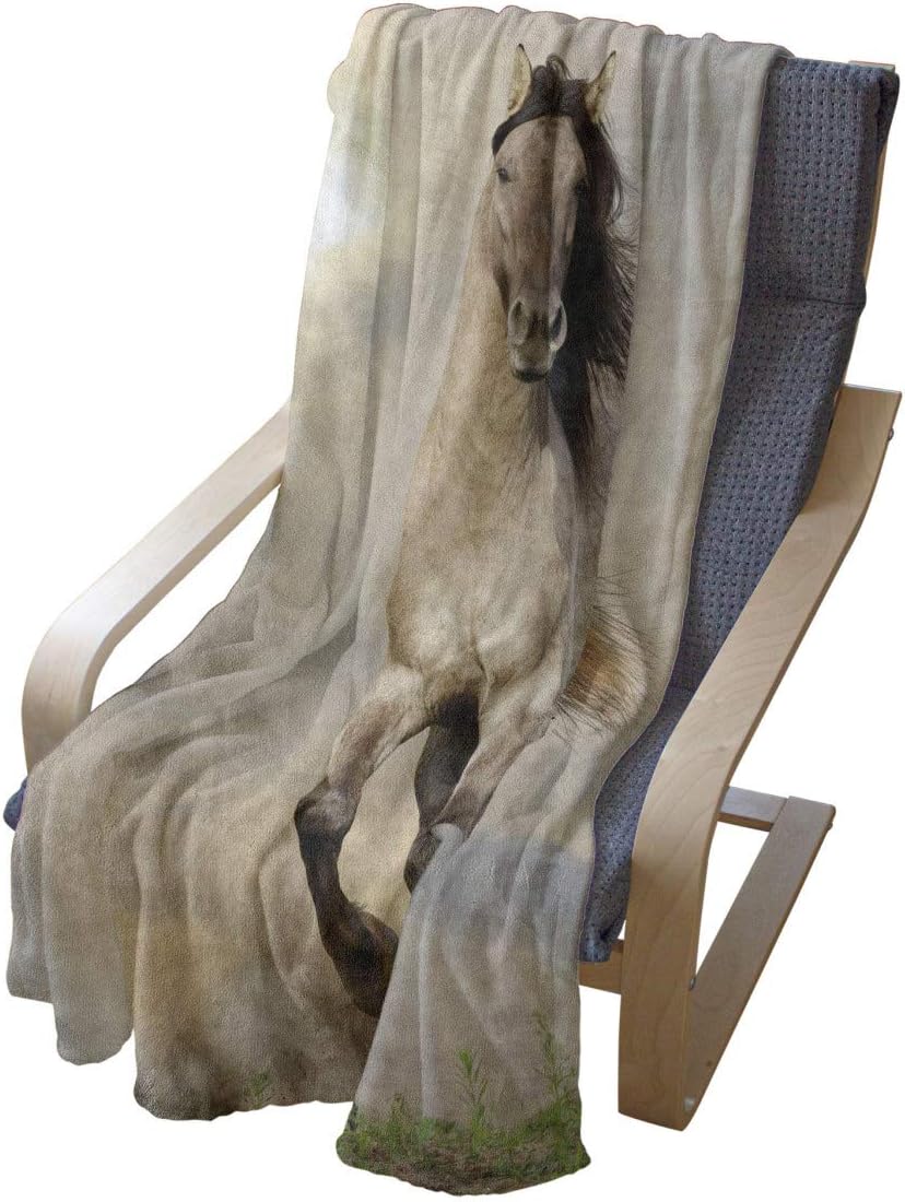 Lunarable Horses Throw Blanket, Wild Young Stallion Horse Running at Sunset Male Power Muscular Physique Nobility Photo, Flannel Fleece Accent Piece Soft Couch Cover for Adults, 50" x 70", Beige