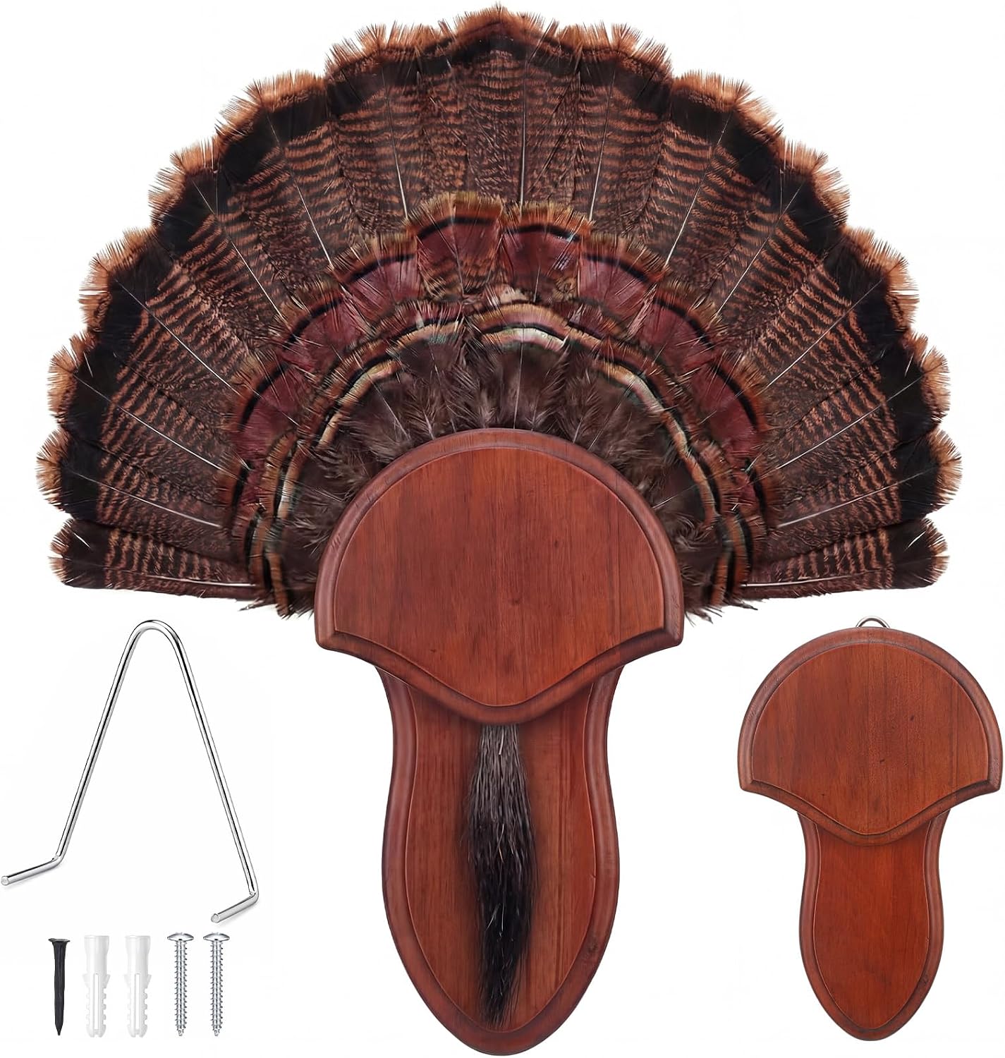 Turkey Fan Mounting Kit with Beard Plate for Hanging Turkey Tail, Feather, Beard, Wall Mounted Hunting Accessories for Mounts(14.5 Inch,Brown,Pine Wood)