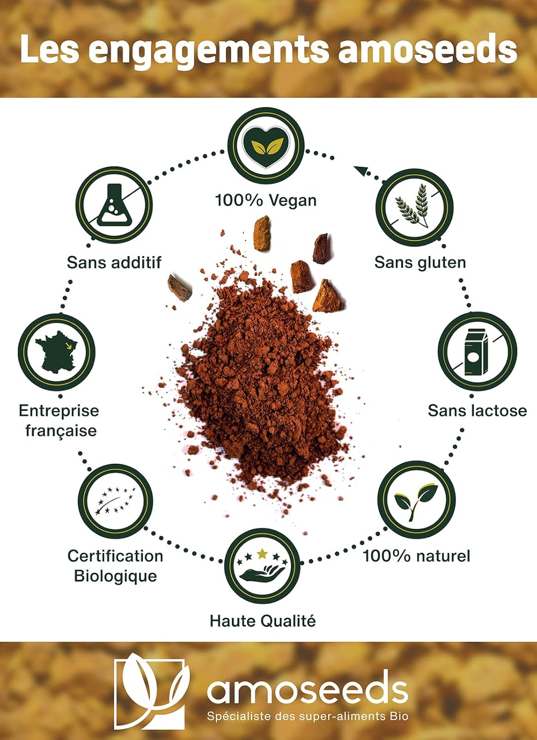 utilisation chaga