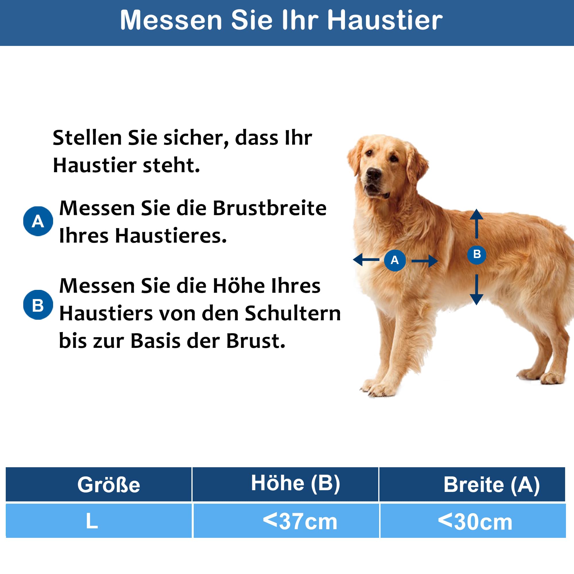CEESC Große Hundeklappe für Haustiere bis 45 kg, wetterfeste Tierklappe für Katzen und Hunde, langlebig, inklusive Einrast-Verschlussplatte, geeignet für Innen- und Außentüren (Groß, Weiß)