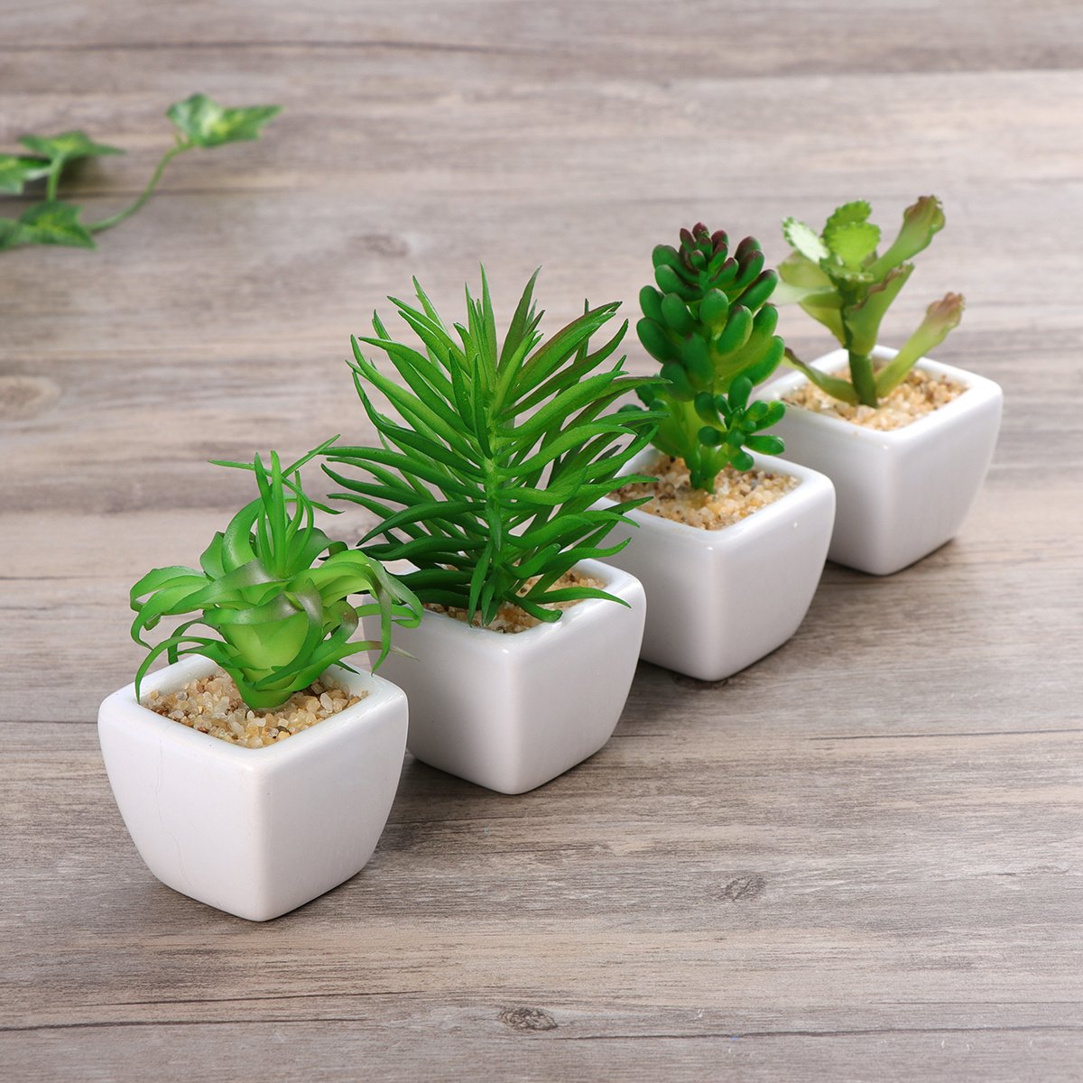 Winomo Lot de 4 plantes grasses artificielles avec pot en céramique blanche