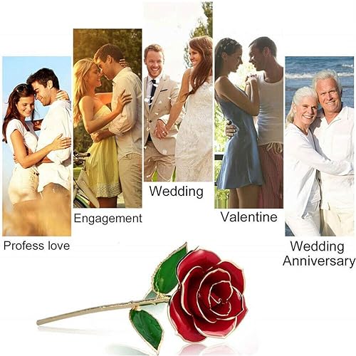 Miniatura 3 de Regalos para el día de San Valentín para ella, rosa real sumergida en oro de 24 quilates, rosa preservada, rosa bañada en oro para el día de San