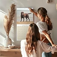 Vista 577 de Razas de Perros 2017