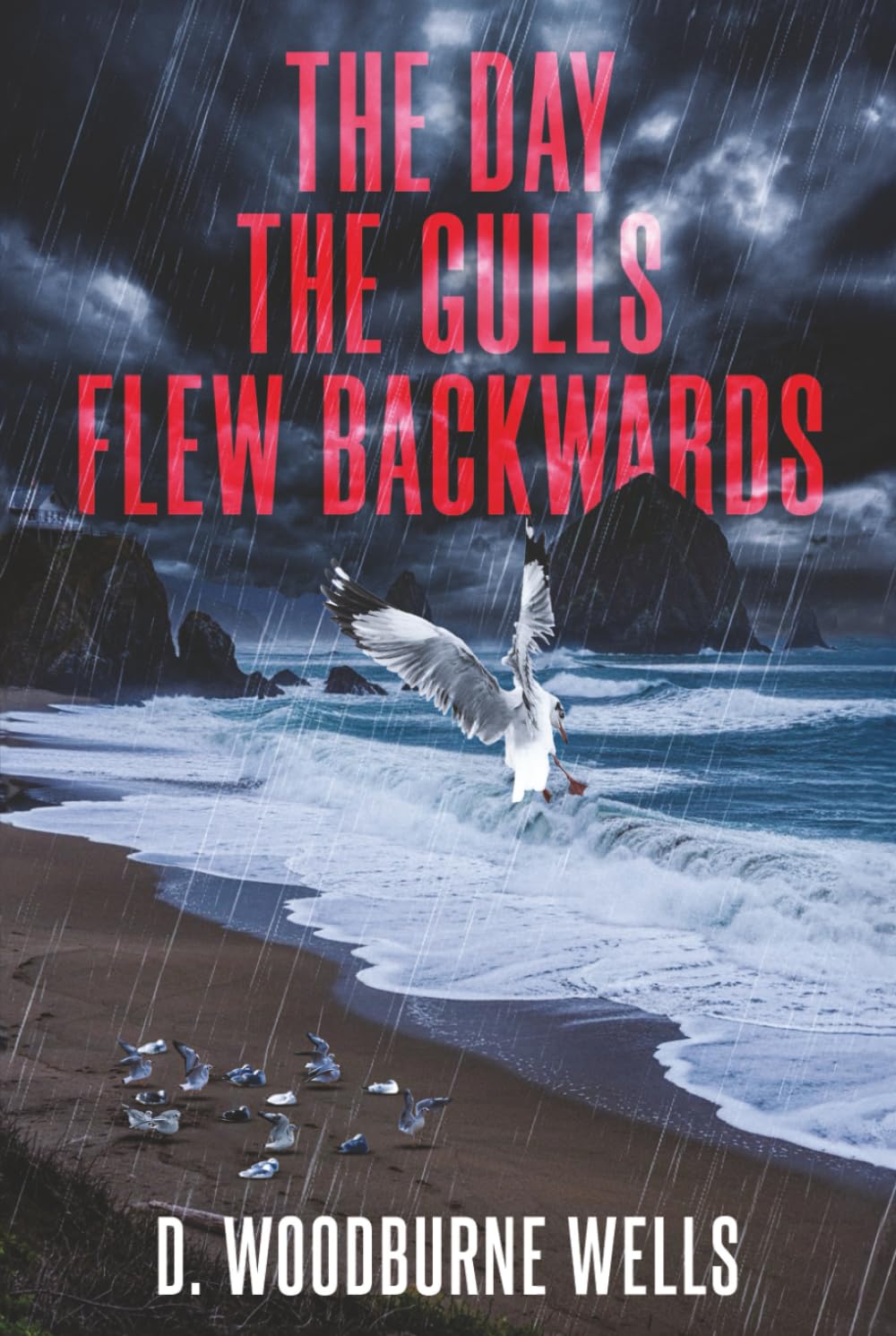 The Day The Gulls Flew Backwards