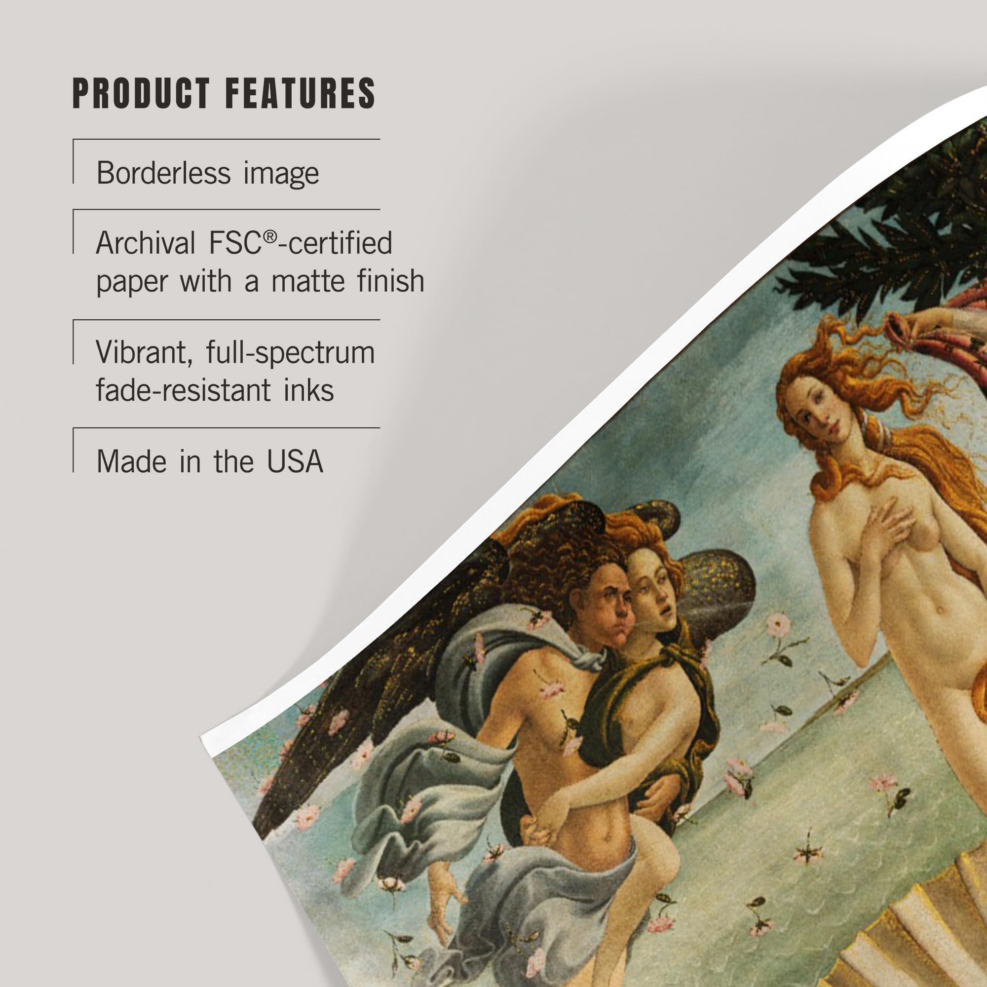 Amazon.com: 24x36 Inch Giclee Print, The Birth of Venus