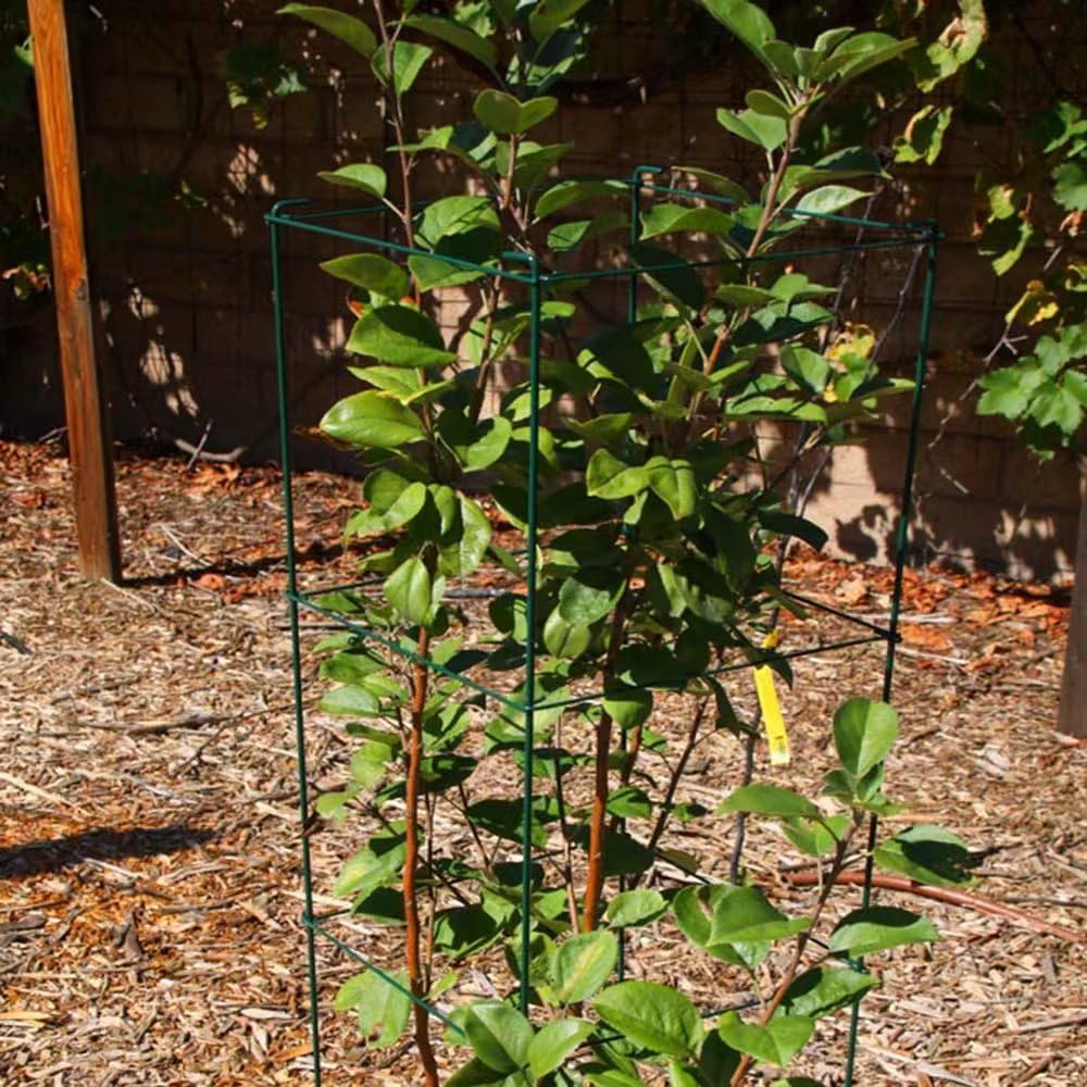 Green Square Folding Tomato Cage Plant Support Stake Tower 12 inch by 46 inch, Pack of 10 Sets