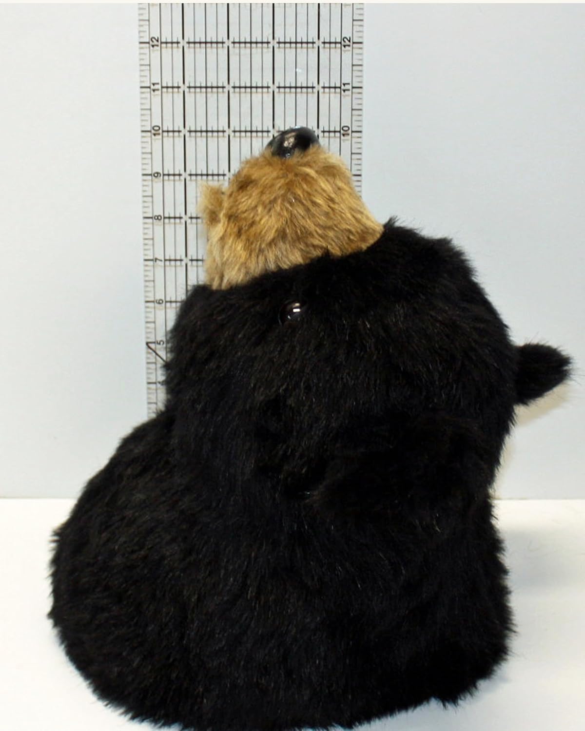 Bear Medium Plush Wall Mount - 'Patrick'