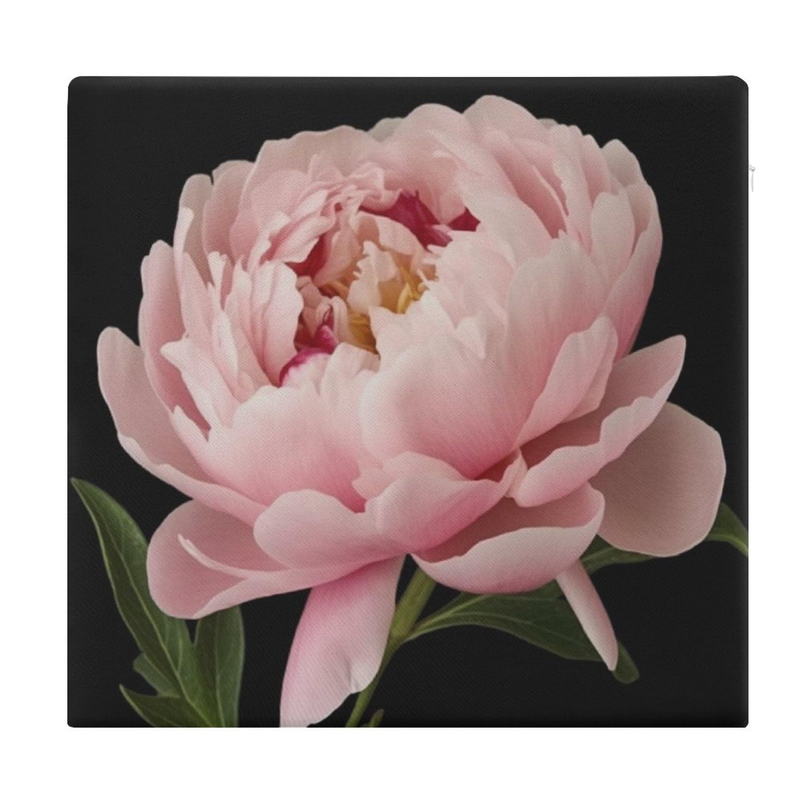 Coussin de chaise 38,1 cm carré en mousse mémoire de forme antidérapant