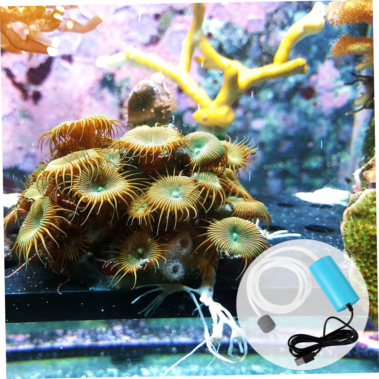 Mipcase 2piezas Mini Bomba De Aire USB para Acuario Silenciosa y Aumenta Peceras para Uso Casa y Oficina