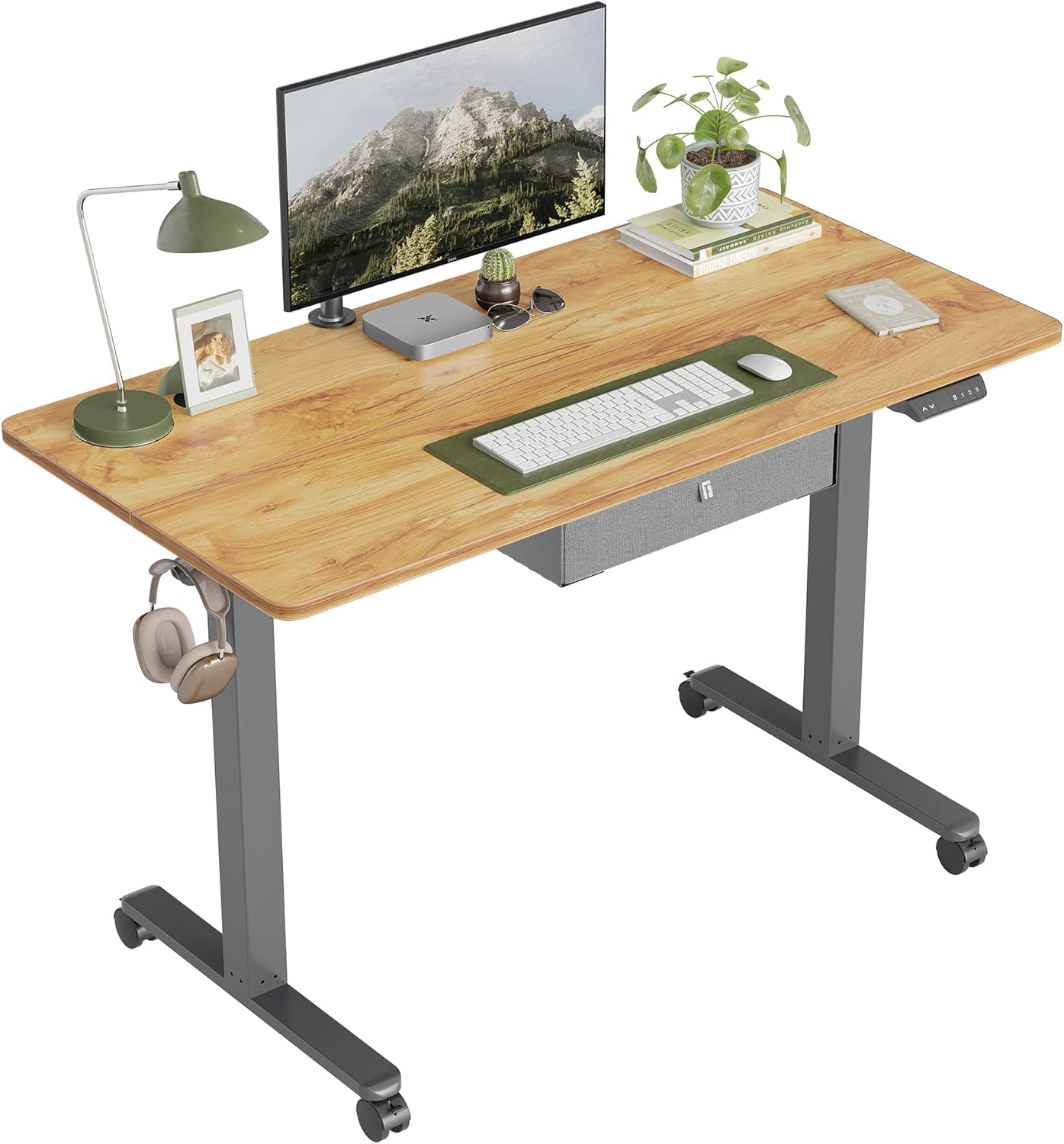 DESINO 48"x24" Standing Desk with Drawer, Electric Stand up