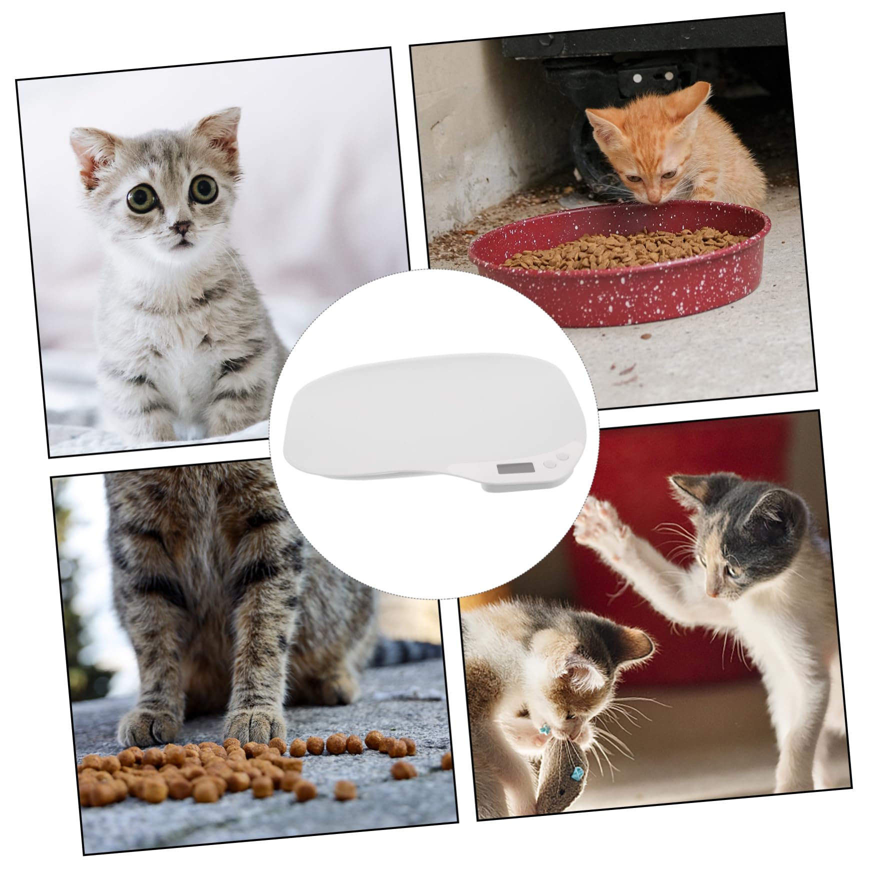 ibasenice Bilancia Elettronica per Animali Domestici Bilancia per Pesare e Gattini