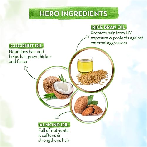 Miniatura 4 de MAMAEARTH Aceite de arroz para el cabello con salvado de arroz y aceite de coco, fortalece las raíces y reduce la rotura, repara el cabello seco y