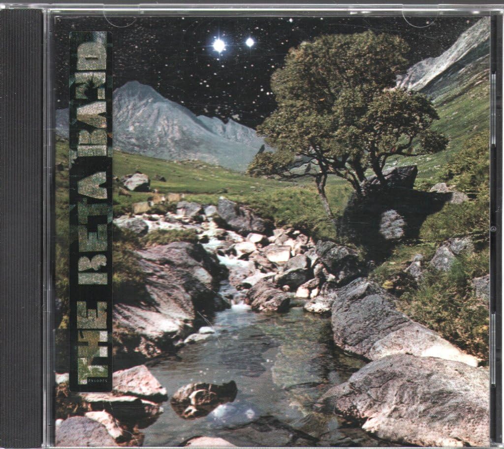 Beta Band [Audio CD] Beta Band