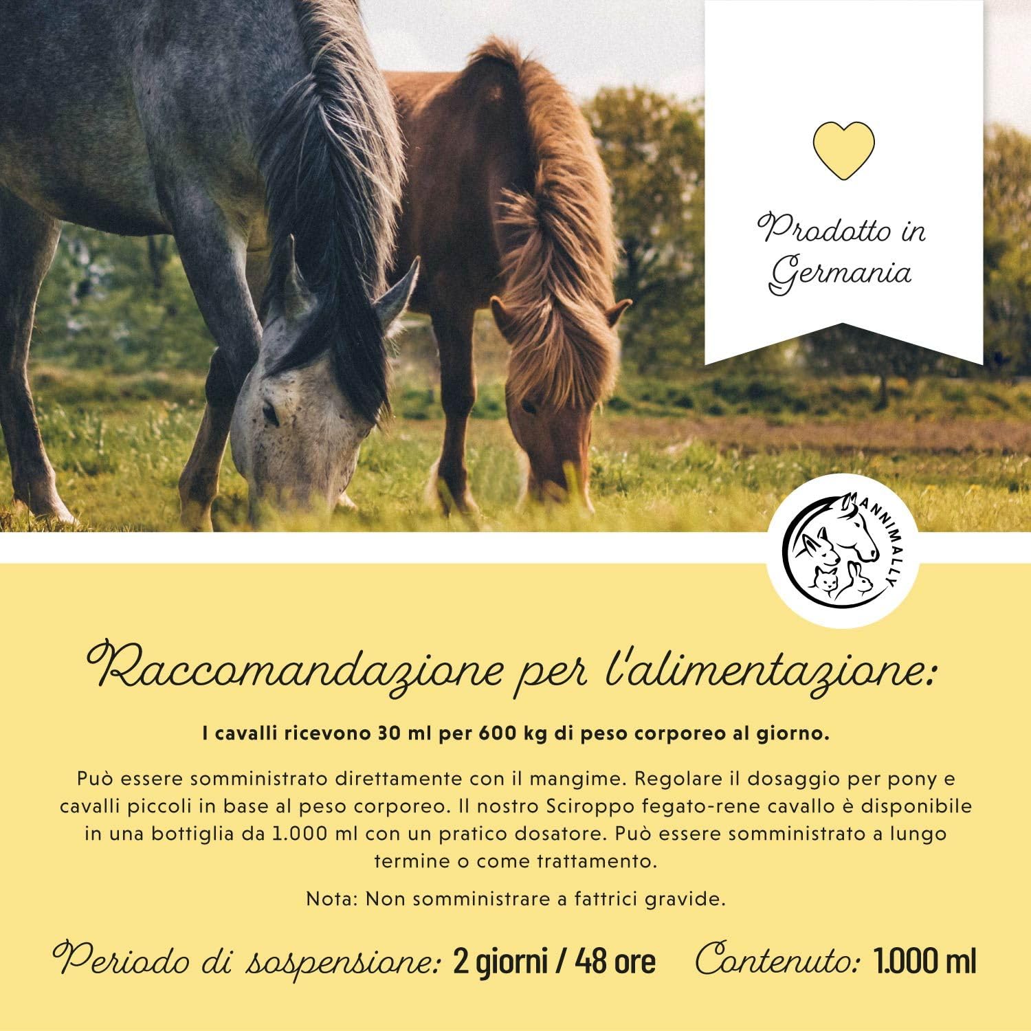 Liquido Fegato e Reni per Cavalli - Succo di erbe da 1000ml con Cardo Mariano e Carciofo per il fegato - Succo per i reni per un metabolismo sano nel cavallo