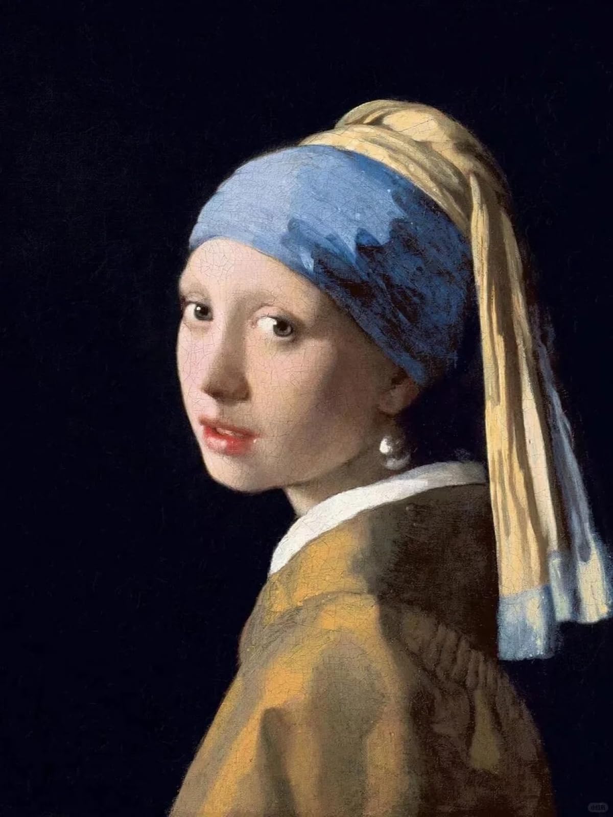 Rkflgew Girls D 14Ct Cross-Stitch Kits 《 With A Pearl Earring》 Cross Stitch Set Figure Oil Painting Embroidery Kit For Beginners Adult Iy Cross Stitches Needlepoint Kits 30X40cm