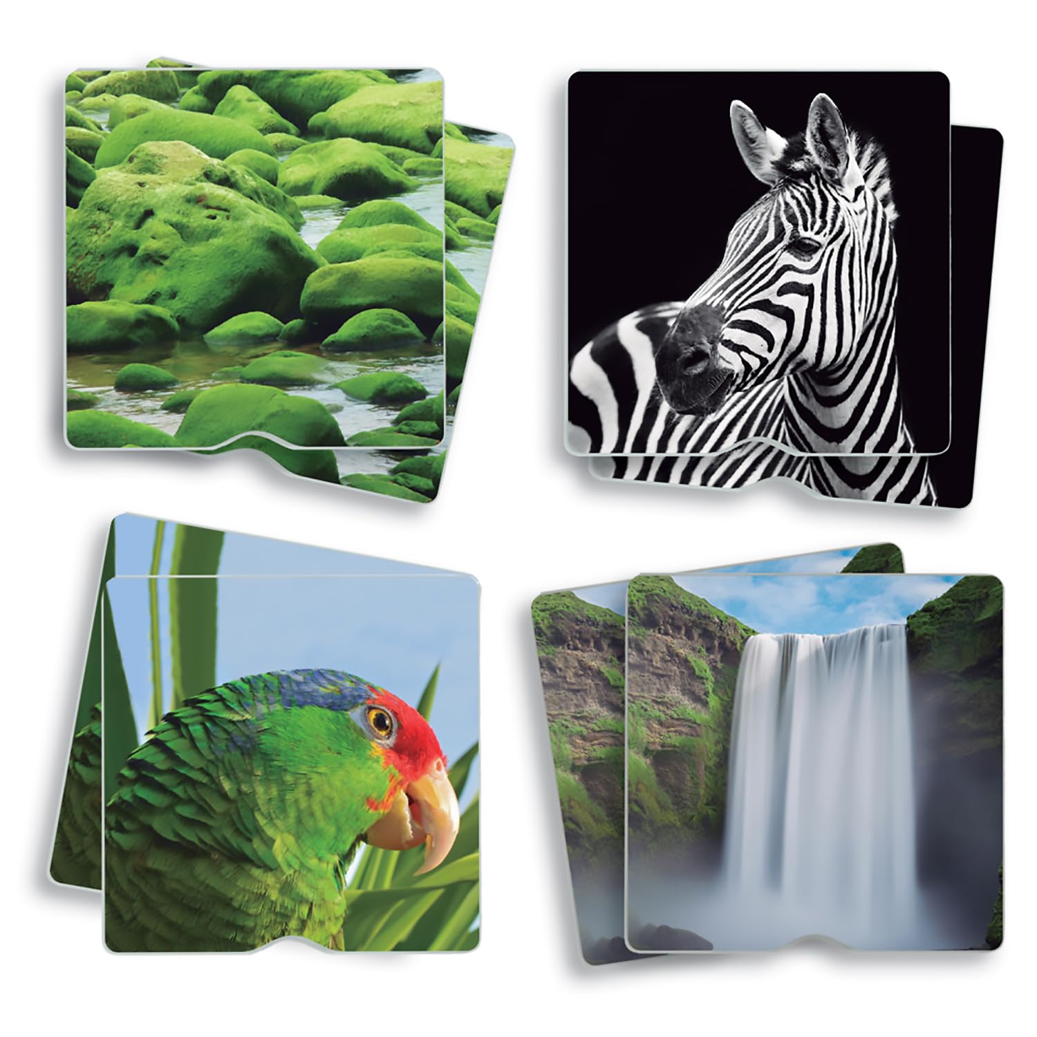 Akros (AKRP1) 20411 Akros Touch Maxi-Memory Nature The Senses, Multicolore