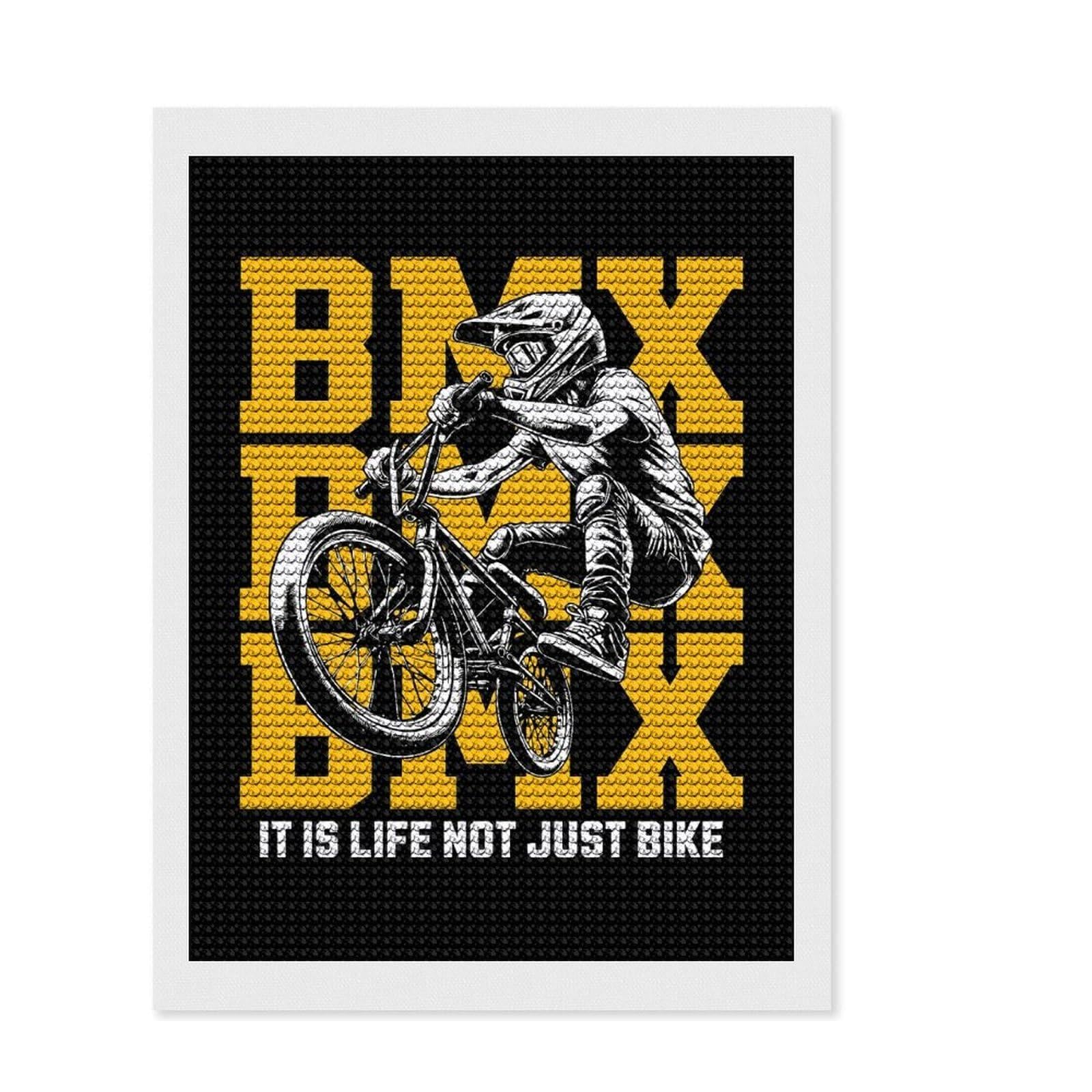 Junmoney BMX Full Drill Diamond Painting Kit 12"x16", for Adults, Good for Quiet Evenings, Farmhouse Decor, Holiday Gift Idea