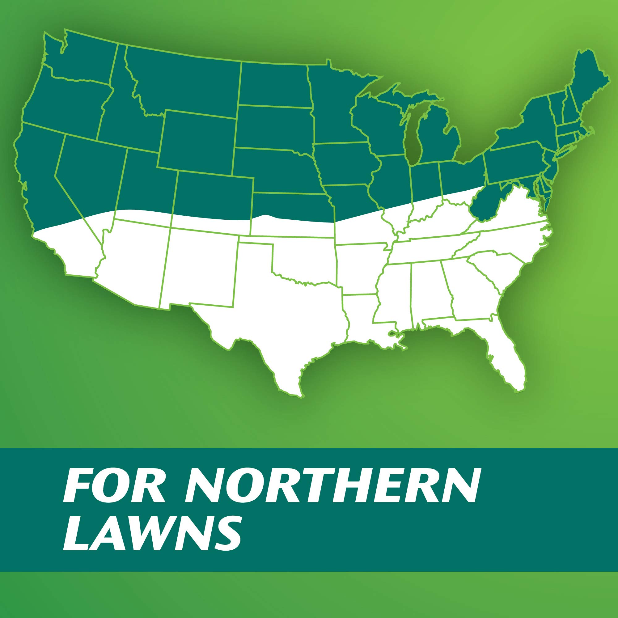 Scotts Turf Builder Grass Seed Dense Shade Mix 7 Lb. Grows in as