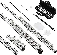 ANVAR VEDO instrumento musical brinquedo,Kit Premium Flauta Transversal - Boca Corte Biselado, Chaves Ajustáveis, Estojo Portátil e Som Fluido Ideal para Bandas Marciais Presentes Musicais