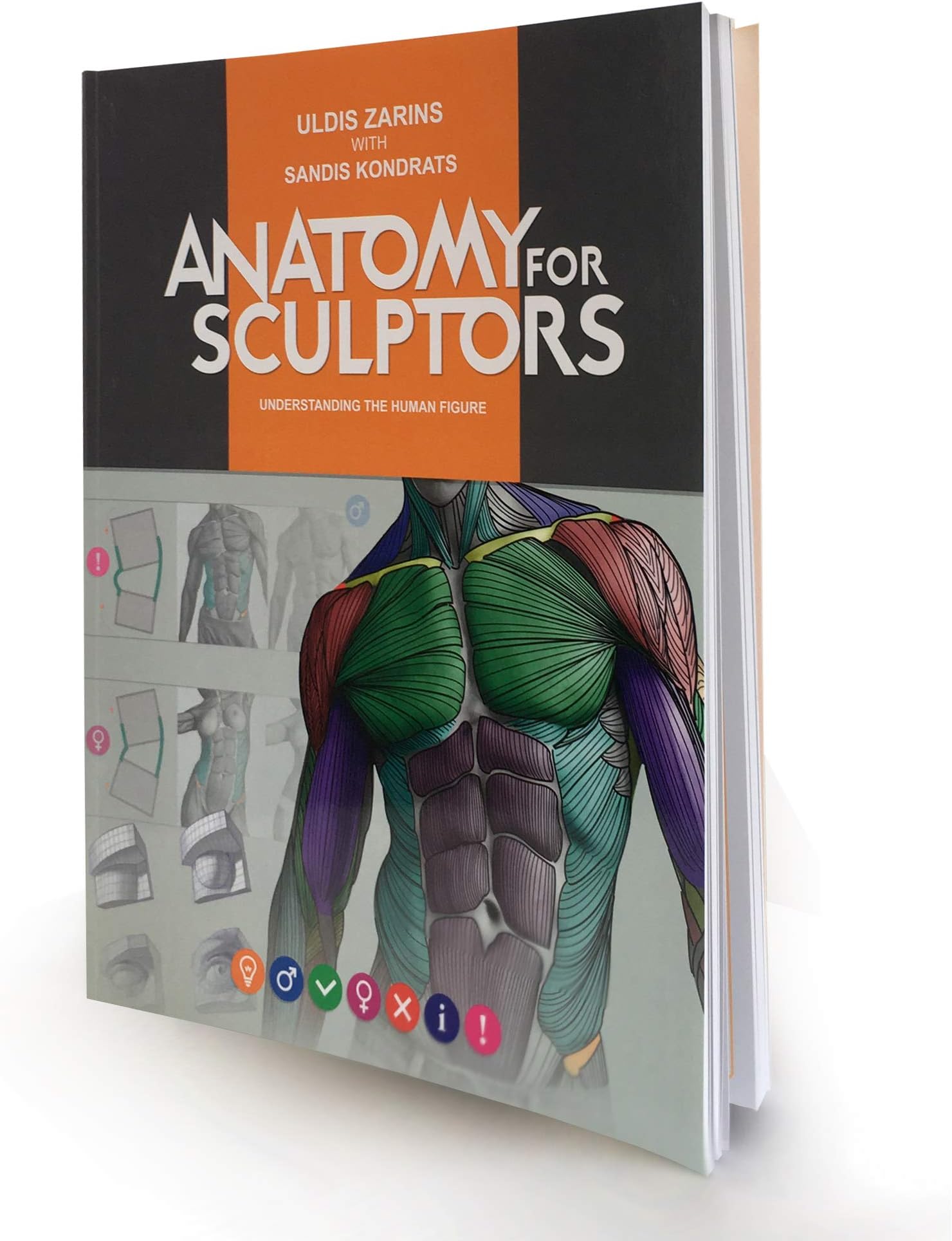Anatomy for Sculptors Understanding the Human Figure