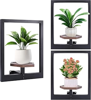 Wooden Wall Planters for Indoor Plants