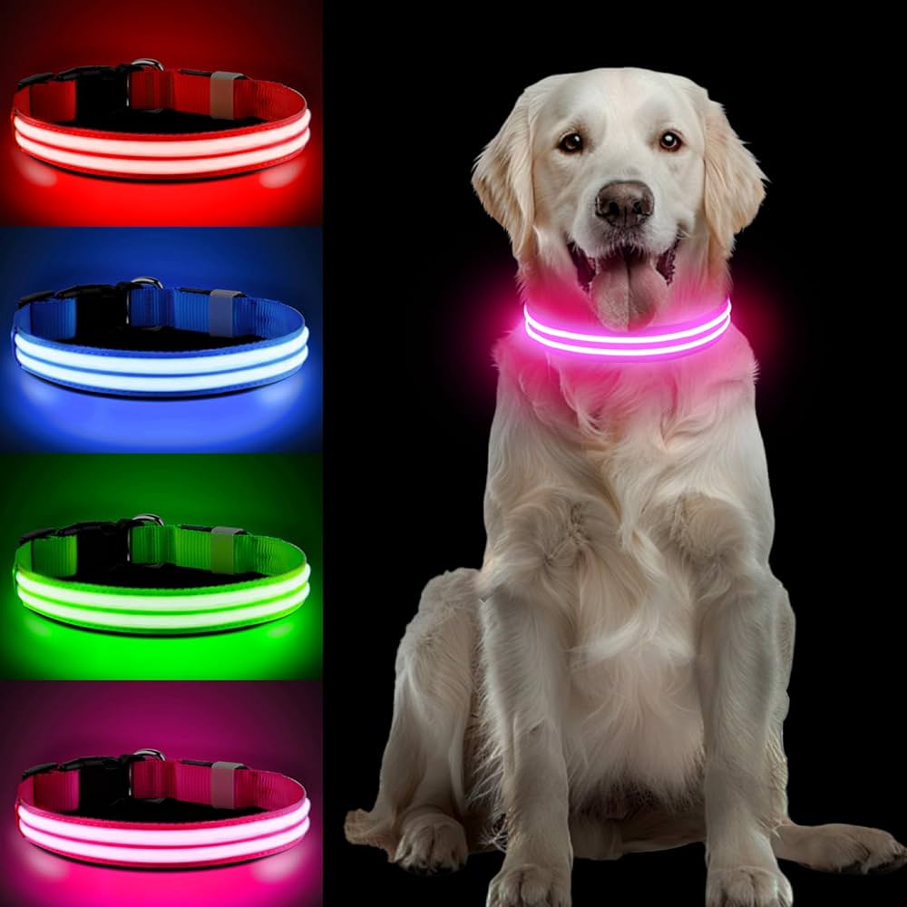 PcEoTllar Collar Luminoso Perro, Collar Luz Recargable y Impermeable,  Collares LED Perros con 3 Modos de Iluminación para Perros Pequeños  Medianos Grandes, Rosa(DC5000)-M : Amazon.es: Productos para mascotas