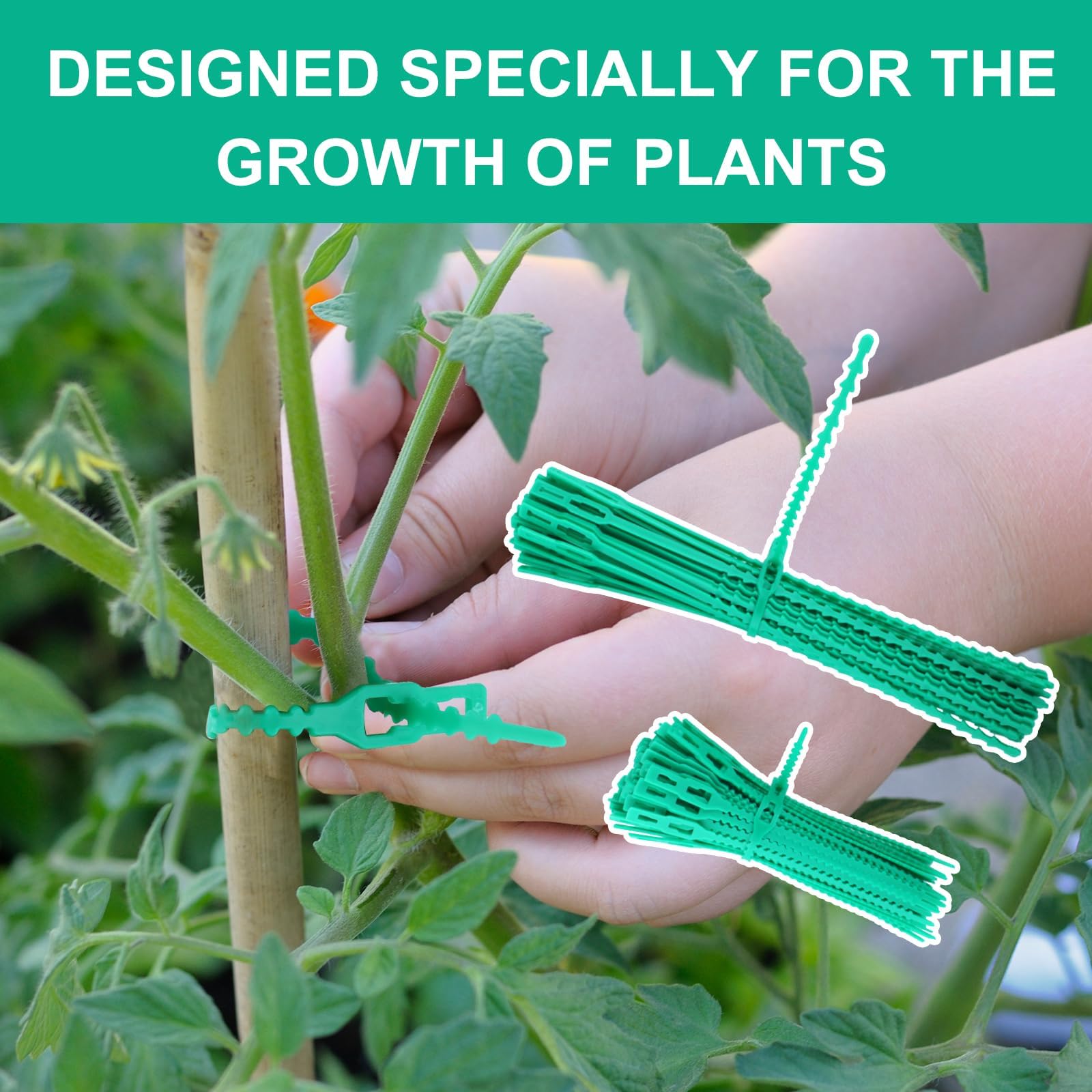 Lysjoy 100 Piezas Bridas Ajustables para Plantas, (13/23 cm) Lazos de Jardinería Reutilizables de Plástico Verde, Sujeción para Tomates, Plantas Trepadoras y Árboles, Resistentes a la Intemperie — view 7