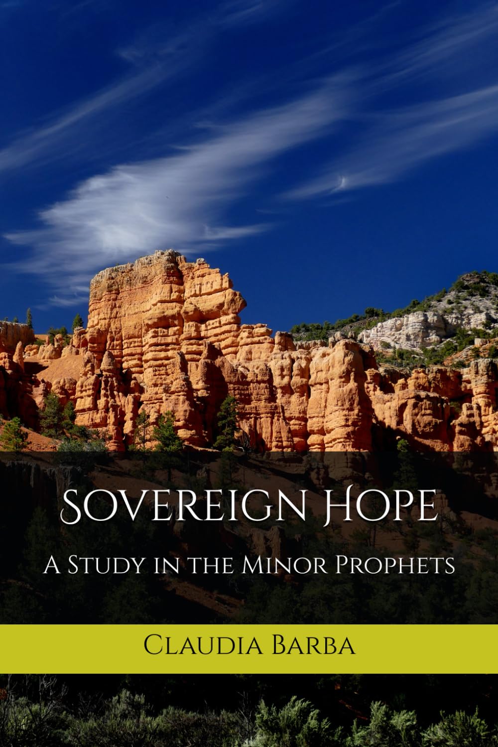 Sovereign Hope: A Study in the Minor Prophets