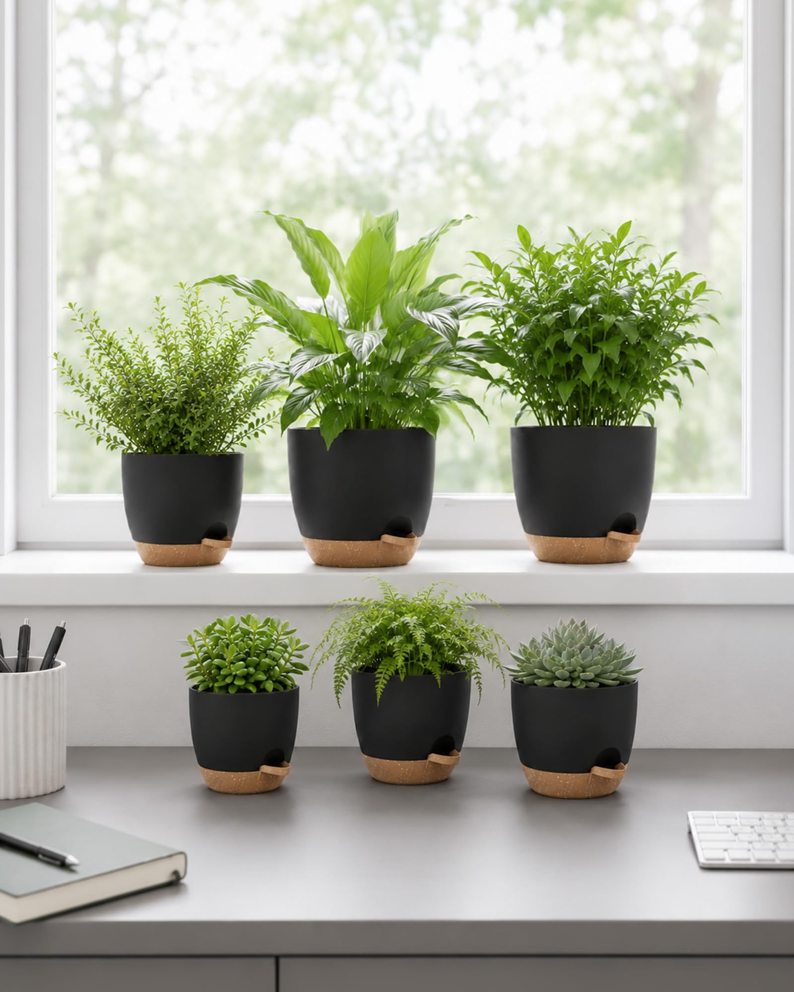 Bamworld Macetas Autorriego de Interior, Tiesto de Plástico con Base Integrada, Pack de 6 (20/18/17/15/14/13 cm), para Cocina, Balcón, Jardín y Vivero Interior macetas Negro