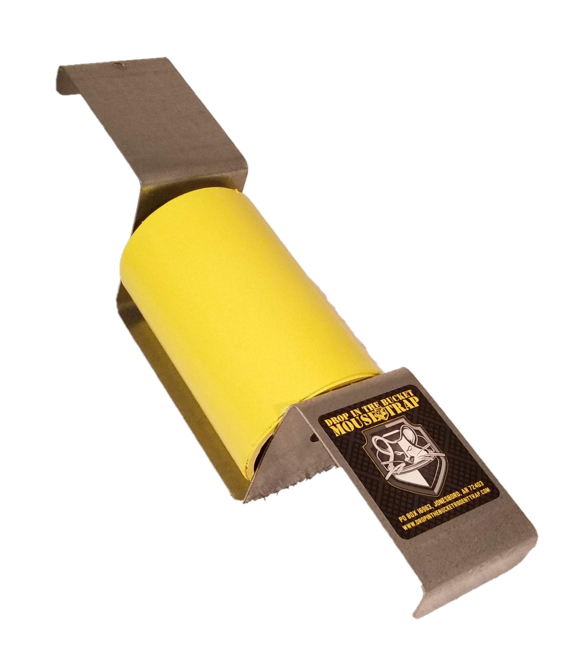 Drop In The Bucket Multiple Catch Animal Trap For Rodents 1 pk Buy