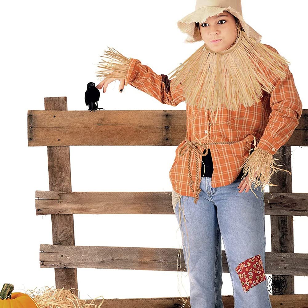 Espantapajaros Mago De Oz Kit De 4 Piezas De Accesorios Para Disfraz De  Espantapájaros Gorro Espantapajaros, image size:1001x1001