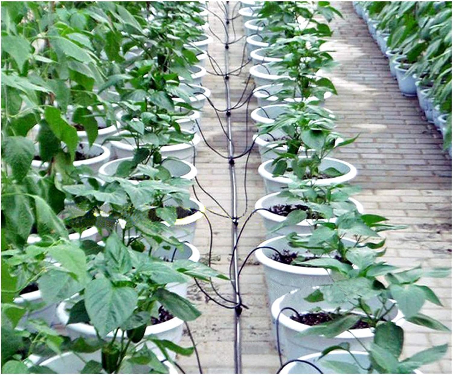 Garden Lawn Sprinkler Irrigation System 20pcs Drip Irrigation Arrows are Inserted Into The Soil, 8l Control Valve is Suitable for Split Drip Irrigation in Gardens and Greenhouses