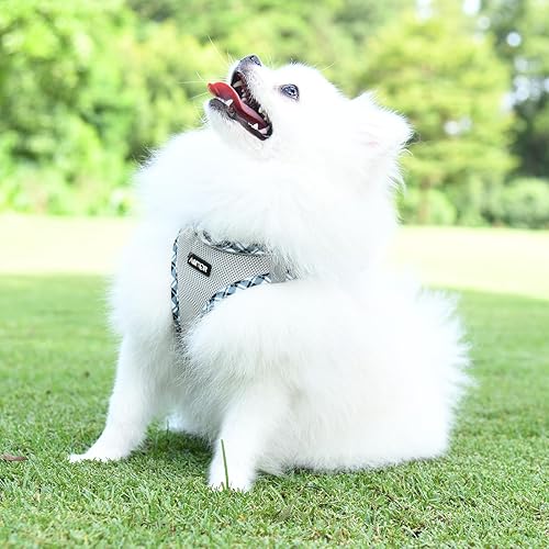 Miniatura 6 de AMTOR Arnés para perro con correa, arnés reflectante ajustable sin tirones para cachorros con chaleco acolchado para perros y gatos
