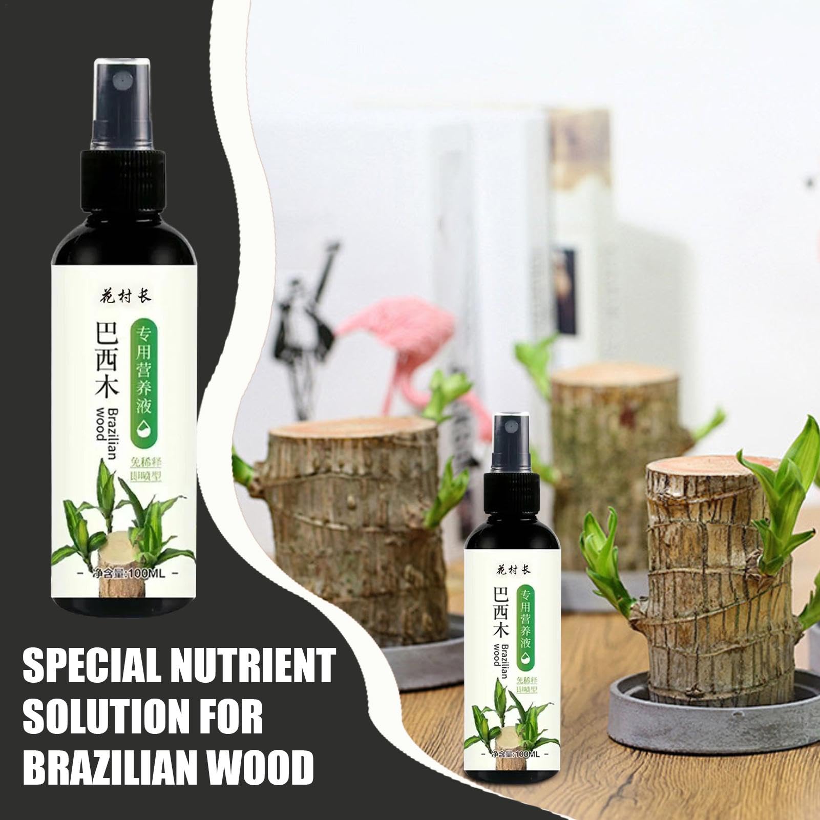 Alimento para plantas de madera brasileña, fertilizante líquido de bambú de 100ml, fertilizante para plantas de interior de madera brasileña de la suerte, fertilizante líquido para plantas de interior
