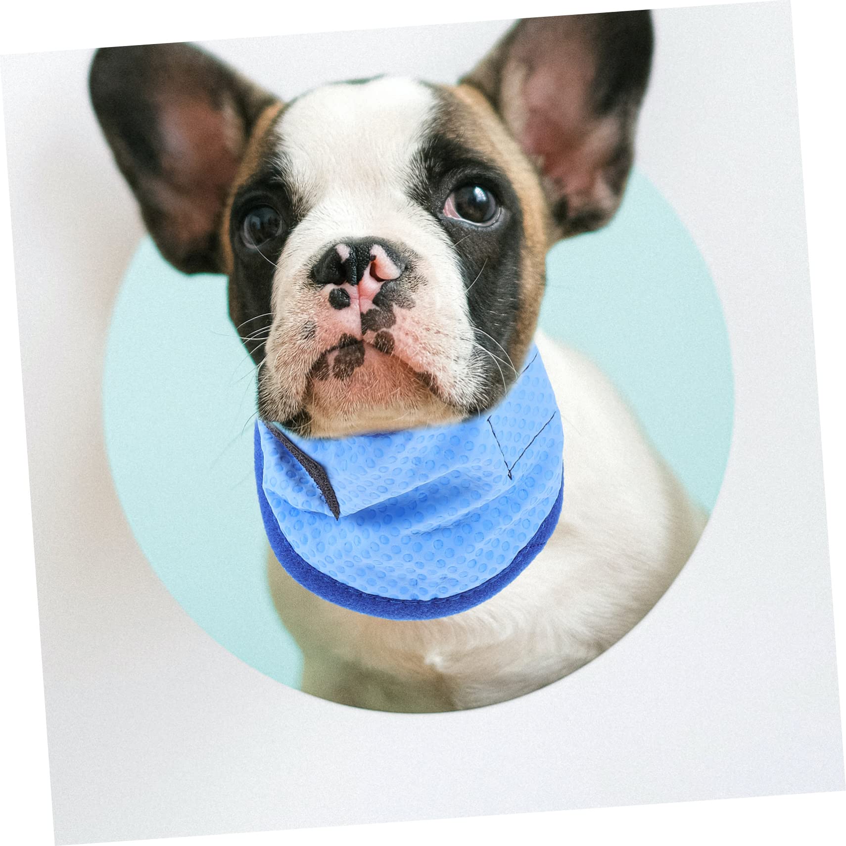 BESPORTBLE 4pezzi Collare Rinfrescante per Cani Bandana Estiva Traspirante per attività all Aperto Perfetta per Passeggiate e Giochi con Tuo Zampe