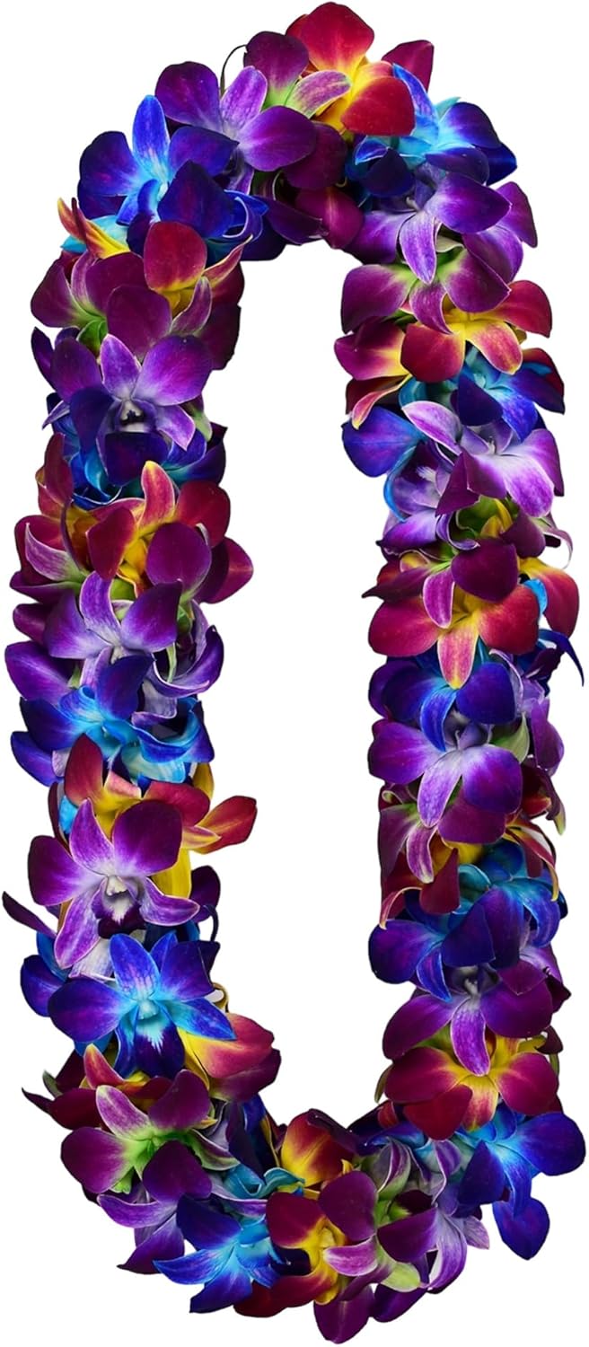 Miami Fresh Orchid Flower OrchidClub USA Sunne Tropical Loose Bloom Head DIY Lei food drink decoration (200 RAINBOW)