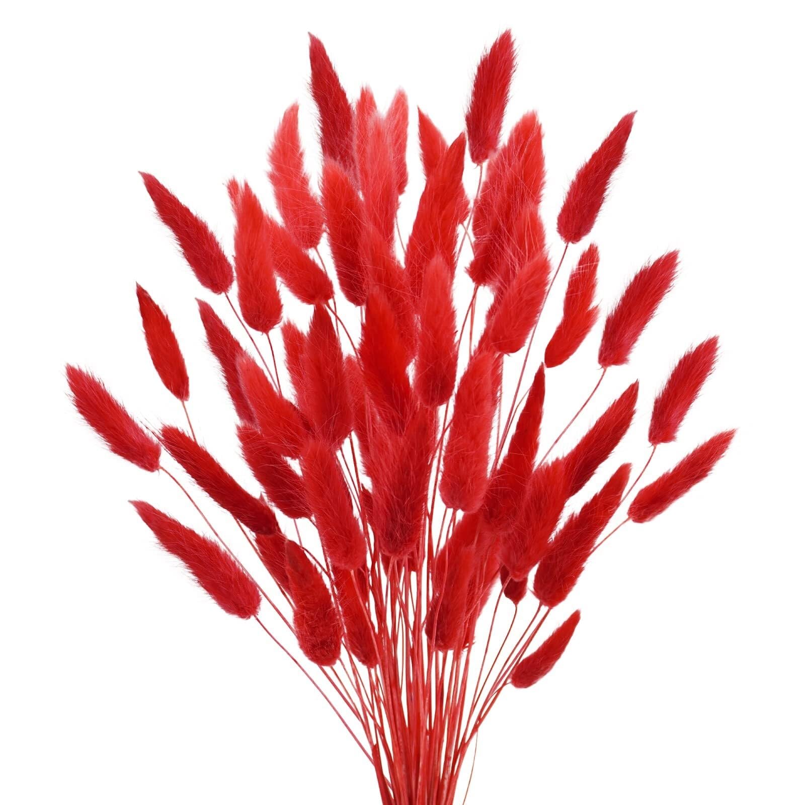 Dried Flowers Bouquet Natural， Fiori secchi bouquet naturale(Red,20Pcs)