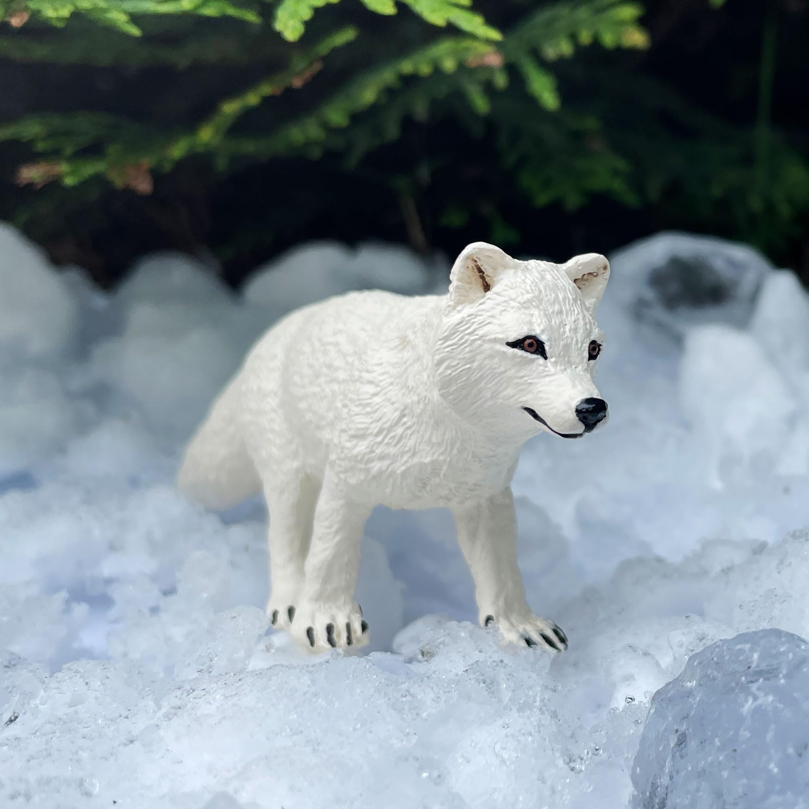 Amazon.com: Safari Ltd. Arctic Fox Toy Figure | North American