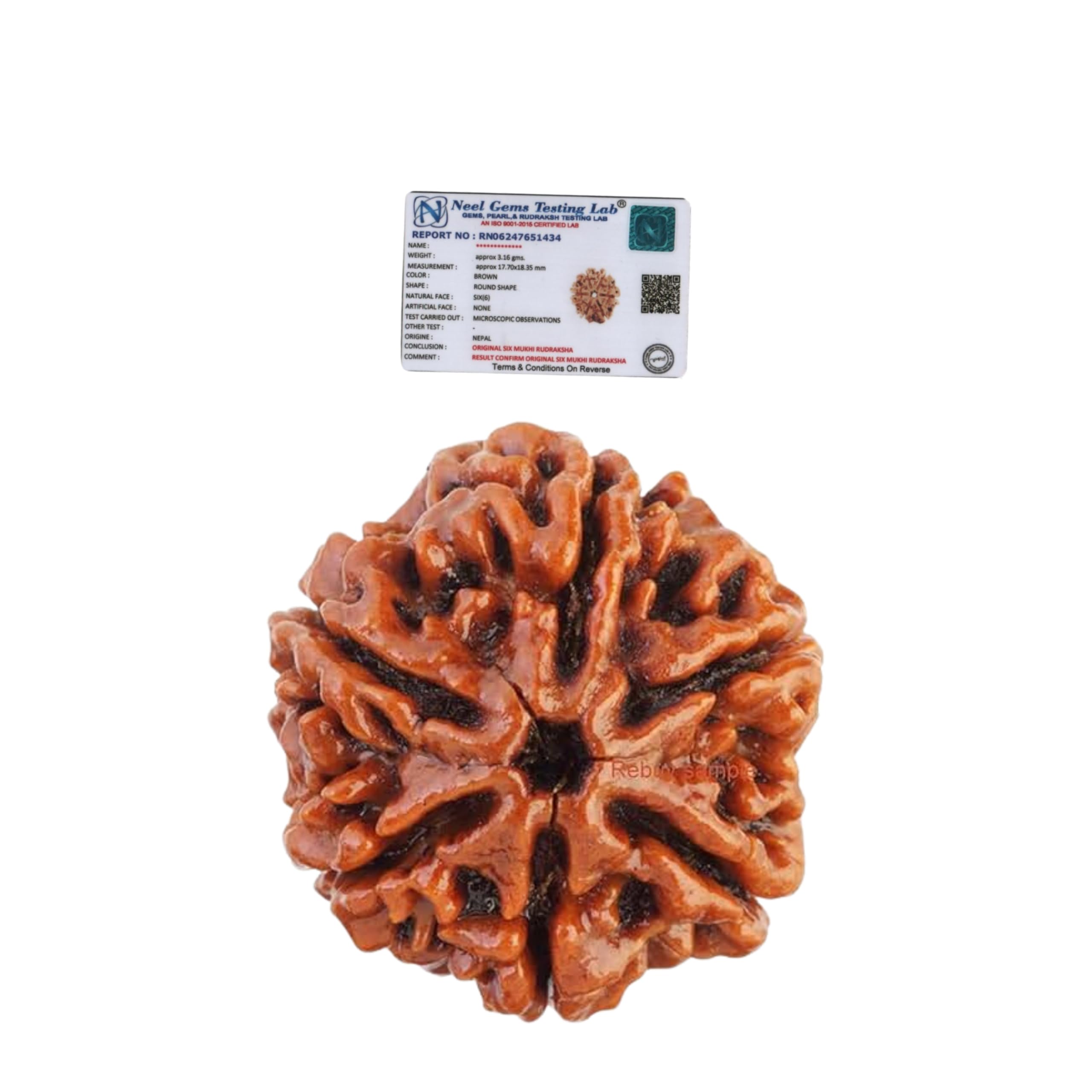 REBUY 6 Mukhi Nepali Rudraksha | Six Faced Original Certified with Lab Report Brown Rudraksha for Men & Women | 20-25 mm