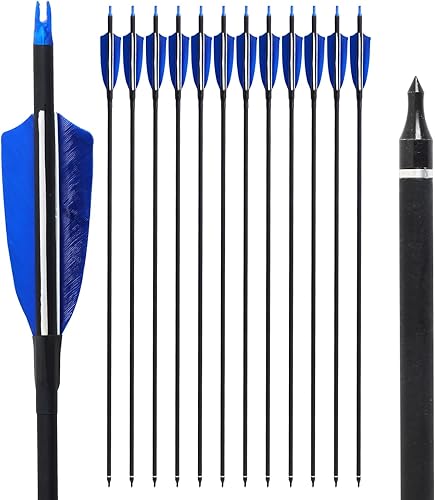 FENJANER Arco con arco de flechas de carbono de 31 pulgadas para practicar flecha de caza con 4 pulgadas de plumas de pavo natural, lomo 500 para
