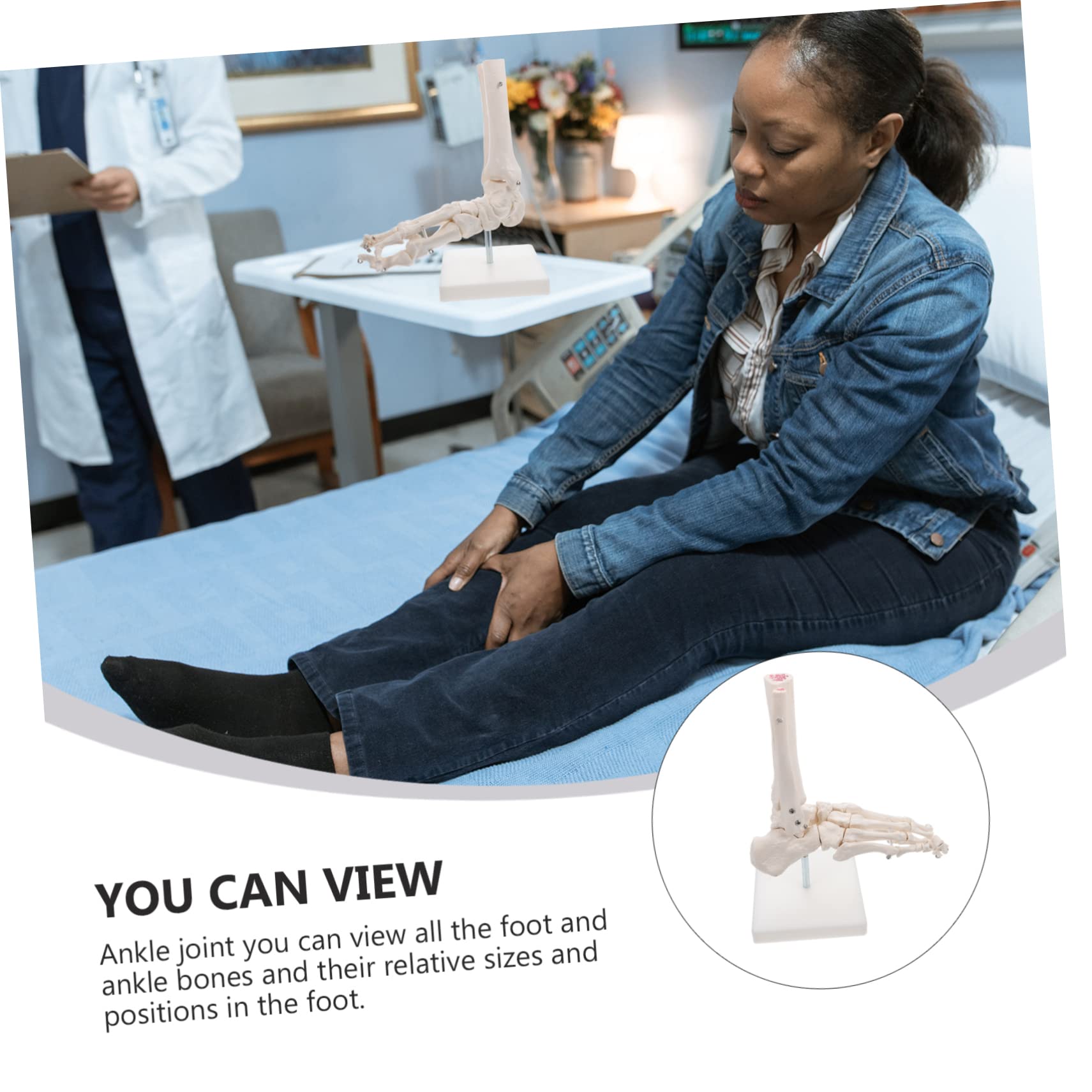 SOLUSTRE Ankle Joint Model Anatomical Human Foot Skeleton Model with Detailed Bone Structure Educational Anatomical Model for Medical and Academic Use